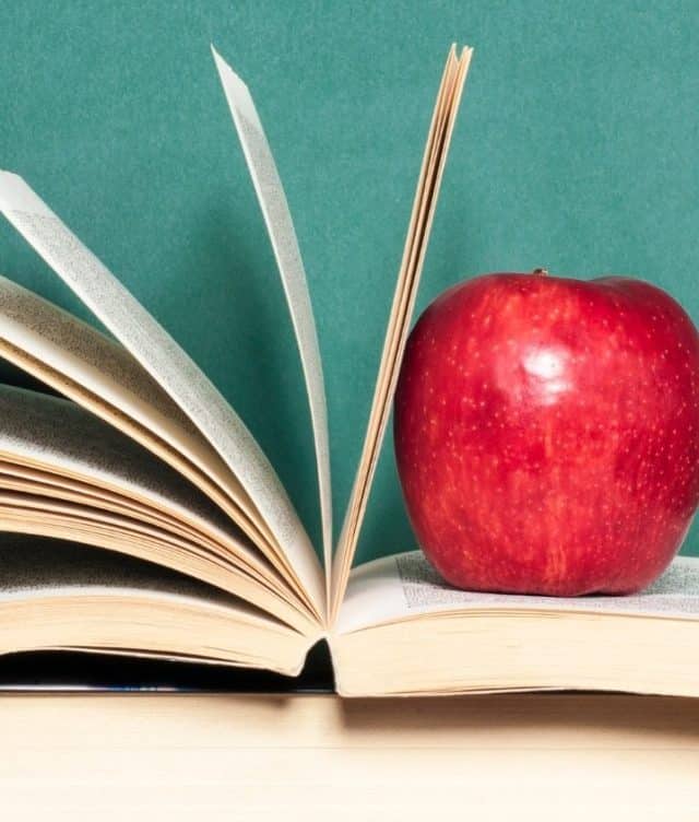 Top Education Stocks in India for 2024