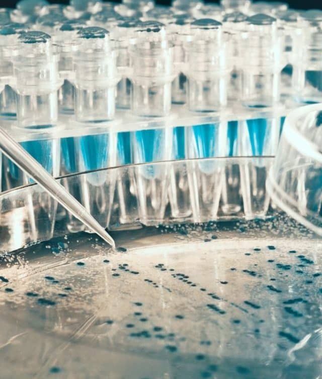 Best Biotech Stocks in India