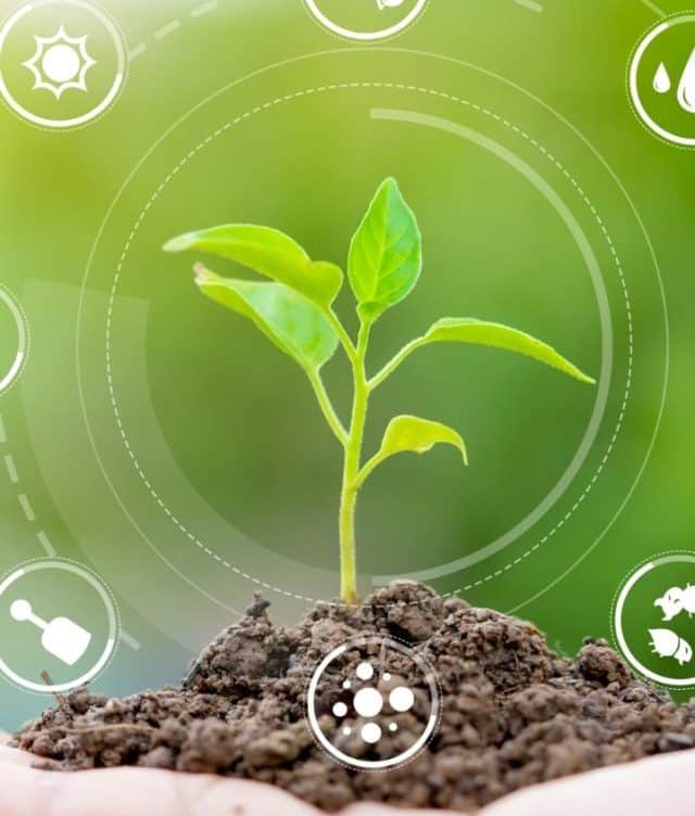 Investing in Agriculture Stocks in India