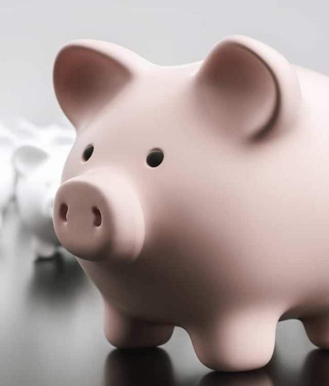 Top Small Finance Banks in India