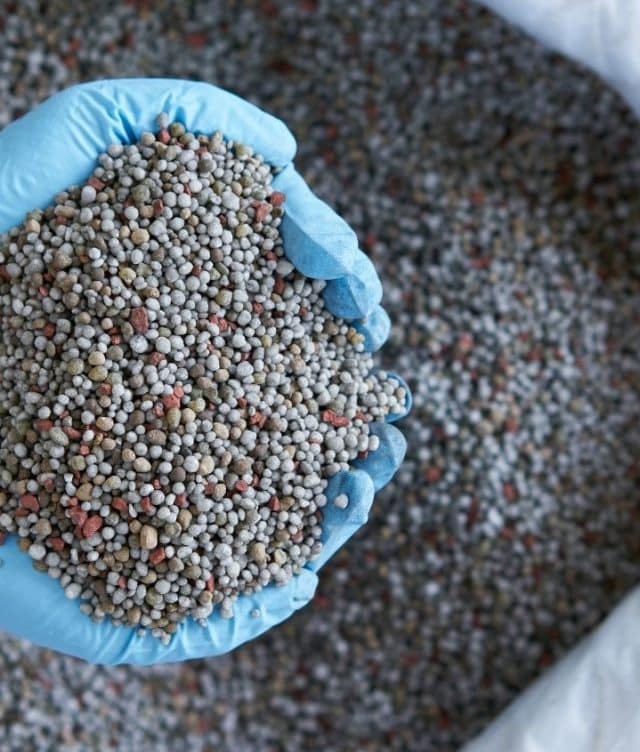 Best Fertilizer Stocks in India