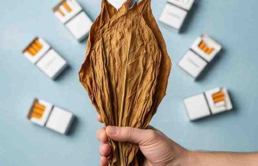 Beyond Cigarettes How Diversified Business Models Impact Tobacco Stock Performance
