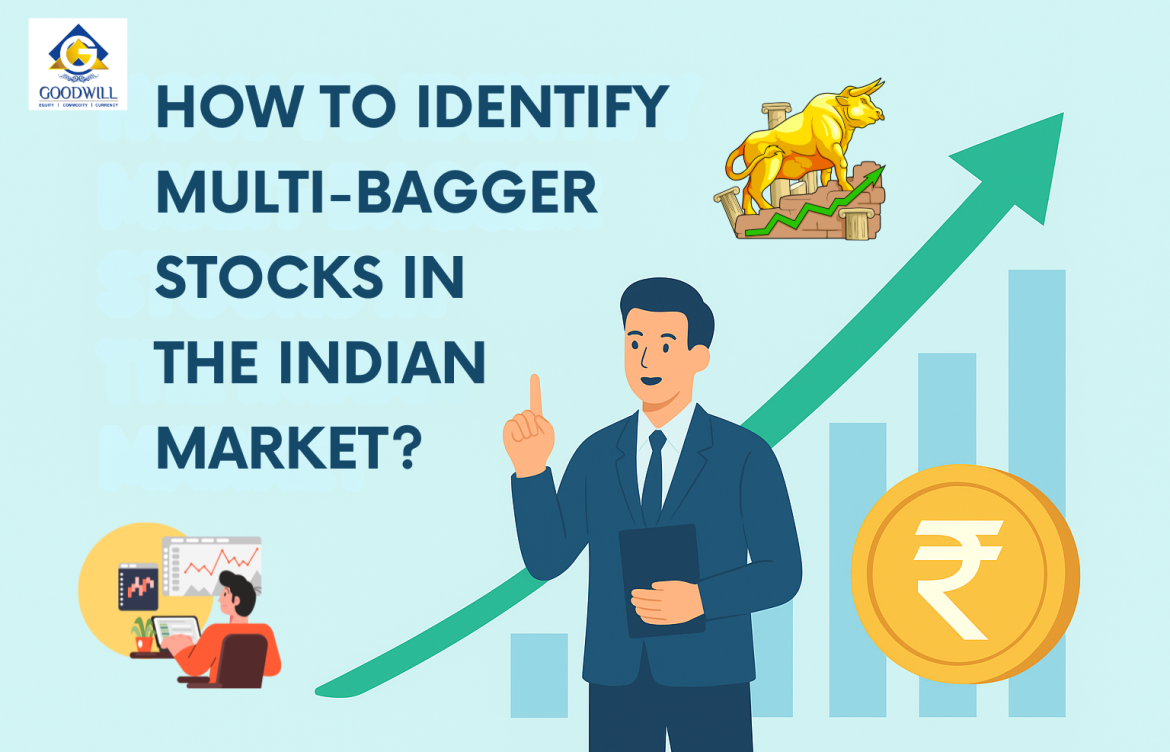 How to Identify Multi-bagger Stocks in the Indian Market