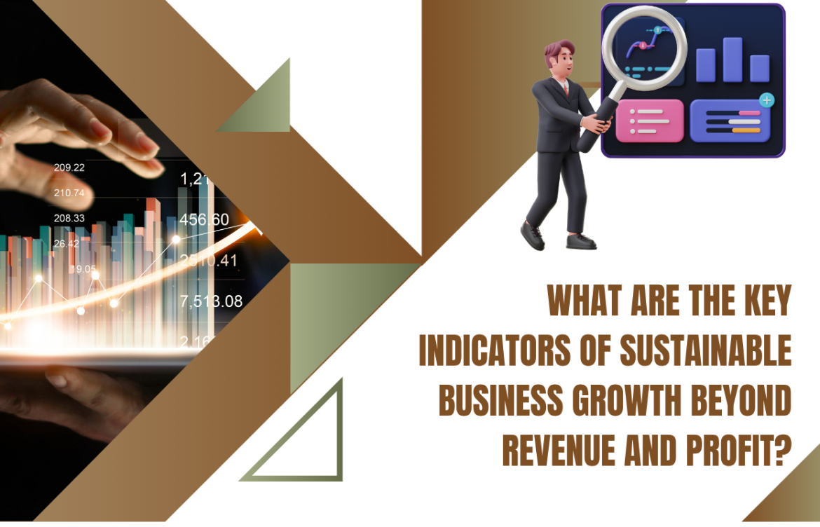 What Are the Key Indicators of Sustainable Business Growth Beyond Revenue and Profit?