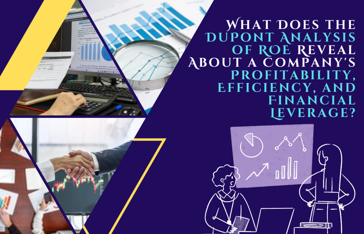 What Does the DuPont Analysis of ROE Reveal About a Company’s Profitability, Efficiency, and Financial Leverage?