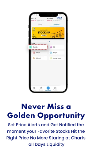 Never Miss a Golden opportunity set price